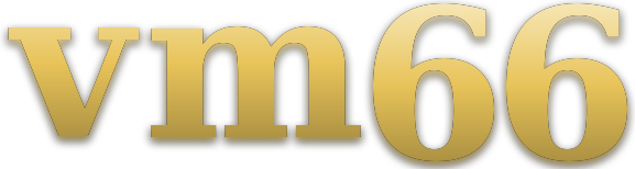 vm66 logo